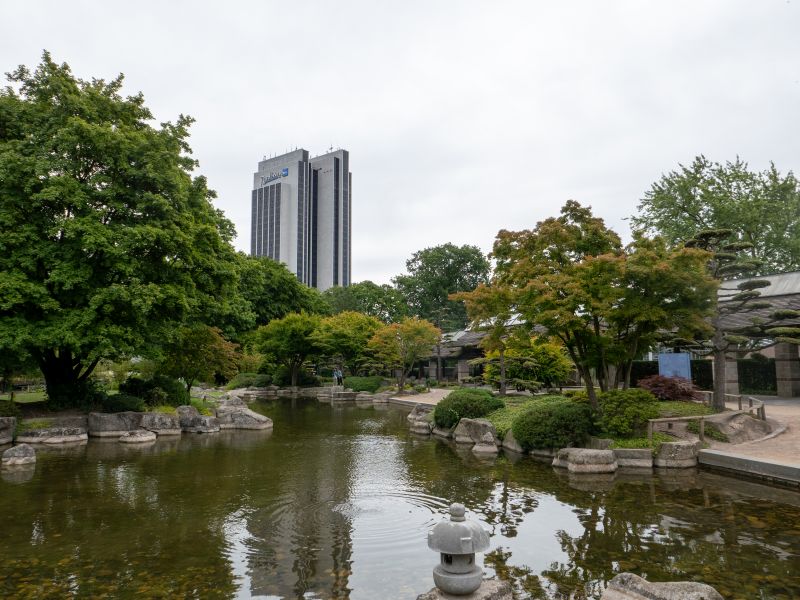 Ein Foto vom japanischen Garten in Hamburg aus dem Jahr 2025